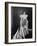 Anna Eleanor Roosevelt-null-Framed Giclee Print