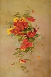 Nasturtiums-Anna Eliza Hardy-Framed Giclee Print