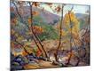 Premium Giclee Print
