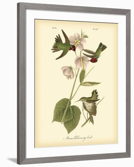 Anna Hummingbird-John James Audubon-Framed Art Print