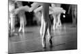 Photographic Print