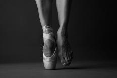 Swan Lake Ballet-Anna Jurkovska-Photographic Print