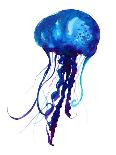 Jellyfish Watercolor Illustration. Medusa Painting Isolated on White Background, Colorful Tattoo De-Anna Kutukova-Framed Art Print