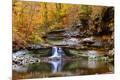 Photographic Print