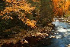 Golden foliage reflected in mountain creek, Smoky Mountain National Park, Tennessee, USA-Anna Miller-Photographic Print