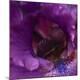 Premium Photographic Print