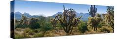 Stretched Canvas Print