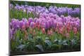 Premium Photographic Print