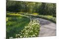 Premium Photographic Print