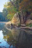 Golden foliage reflected in mountain creek, Smoky Mountain National Park, Tennessee, USA-Anna Miller-Framed Photographic Print