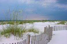 USA, Florida. Dunes and grasses on Santa Rosa island beach.-Anna Miller-Photographic Print