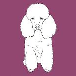 Poodle-Anna Nyberg-Art Print