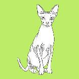 Cat With Big Ears-Anna Nyberg-Art Print