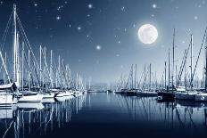 Beautiful Landscape of Yacht Harbor at Night, Full Moon, Marina in Bright Moonlight, Luxury Water T-Anna Omelchenko-Photographic Print