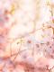 Premium Photographic Print
