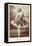 Anna Pavlova in Ballet Pose-null-Framed Stretched Canvas