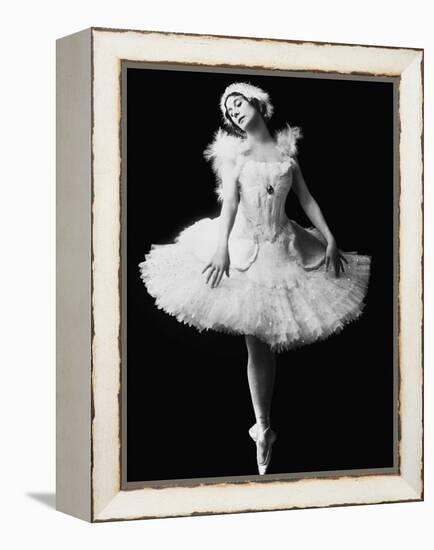 Anna Pavlova in the Ballet the Dying Swan by Camille Saint-Saëns, C. 1910-null-Framed Premier Image Canvas