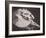 Anna Pavlova in 'The Swan'-null-Framed Photographic Print