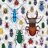 Seamless Pattern with Colorful Bugs. Bright Vector Drawing of Small Beetles. Insect on the Backgrou-Anna Poguliaeva-Art Print