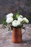 White Ranunculus Flowers in Vase Grey Background-Anna Pustynnikova-Photographic Print