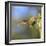 Anna's Hummingbird, Santa Cruz, California, USA-Tom Norring-Framed Photographic Print