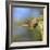 Anna's Hummingbird, Santa Cruz, California, USA-Tom Norring-Framed Photographic Print