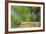 Anna's Hummingbird, Santa Cruz, California, USA-Tom Norring-Framed Photographic Print