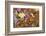 Anna's Hummingbird, Santa Cruz, California, USA-Tom Norring-Framed Photographic Print