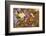 Anna's Hummingbird, Santa Cruz, California, USA-Tom Norring-Framed Photographic Print