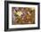 Anna's Hummingbird, Santa Cruz, California, USA-Tom Norring-Framed Photographic Print