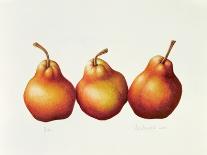 Pears, 2000-Annabel Barrett-Giclee Print