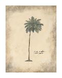 Fibres Palm-Annabel Hewitt-Art Print