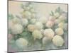 Annabelle Hydrangeas-Julia Purinton-Mounted Art Print