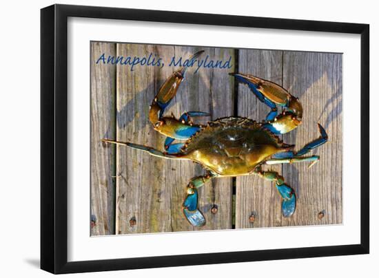 Annapolis, Maryland - Blue Crab on Dock-Lantern Press-Framed Art Print