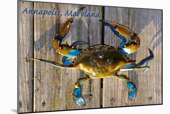 Annapolis, Maryland - Blue Crab on Dock-Lantern Press-Mounted Art Print