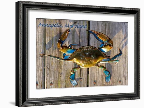 Annapolis, Maryland - Blue Crab on Dock-Lantern Press-Framed Art Print