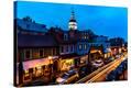 Stretched Canvas Print
