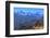 Annapurna landscape, Mustang, Nepal, Himalayas, Asia-null-Framed Photographic Print