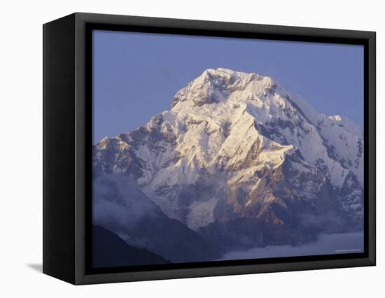 Annapurna South, 7219M, Himalayas, Nepal, Asia-Gavin Hellier-Framed Premier Image Canvas