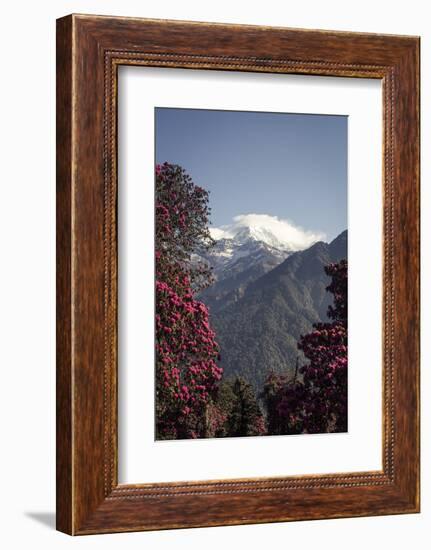 Annapurna South-Andrew Taylor-Framed Photographic Print