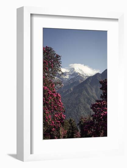 Annapurna South-Andrew Taylor-Framed Photographic Print