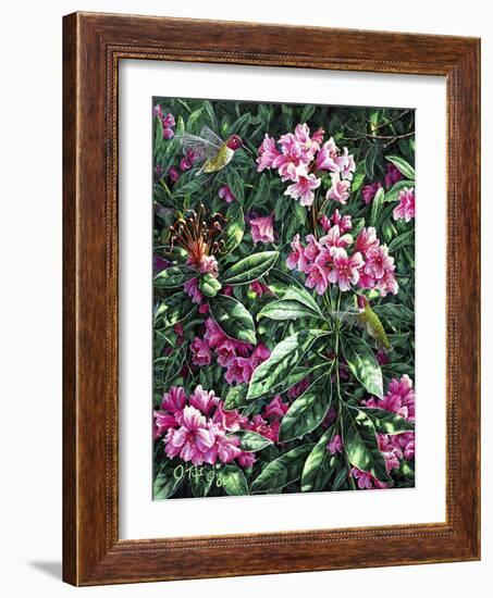 Annas and Rhodies-Jeff Tift-Framed Giclee Print