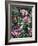 Annas and Rhodies-Jeff Tift-Framed Giclee Print