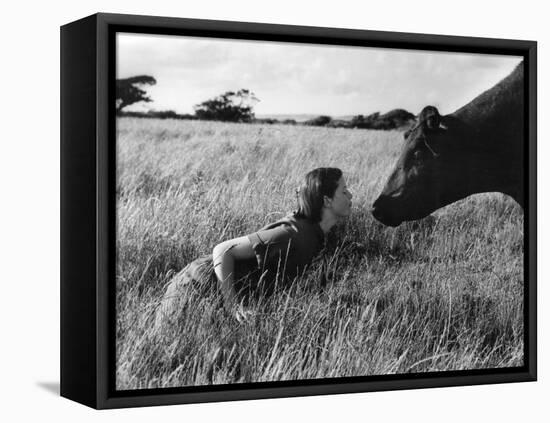 Anne and Aberdeen Angus-null-Framed Premier Image Canvas