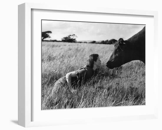 Anne and Aberdeen Angus-null-Framed Photographic Print