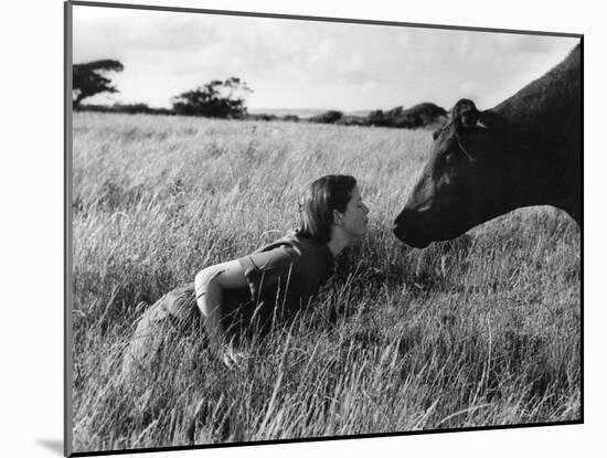 Anne and Aberdeen Angus-null-Mounted Photographic Print