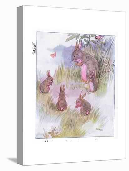 Stretched Canvas Print, , large