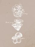 Mushroom Teal 2-Anne Bailey-Art Print