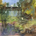 Lily Pond - Calm-Anne Farrall Doyle-Framed Giclee Print