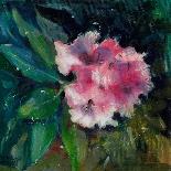 Rhododendron Portrait II-Anne Farrall Doyle-Art Print